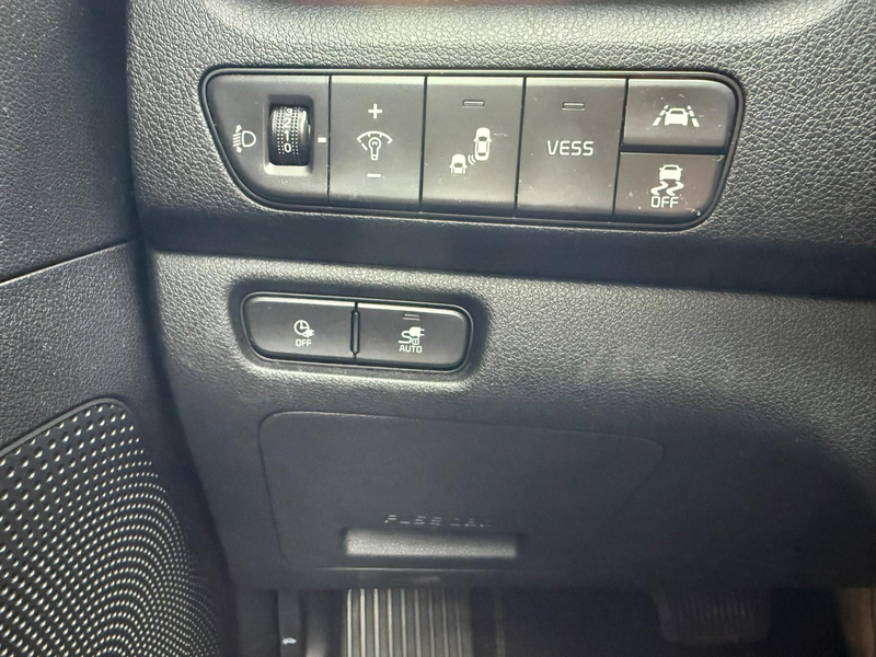 Kia e-Niro ExecutiveLine 64 kWh | 3 Fase | SOH 100% | Leer | — photo 12