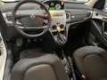Lancia Ypsilon 1.2 8v Elle 69cv - thumbnail 9