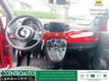 Fiat 500 1.0 hybrid Lounge 70cv Rosso - thumbnail 12