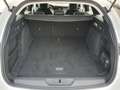 Peugeot 308 NEW SW 1.5 BlueHDi 130CV EAT8 S&S NAV 10" PARK CAM Blanco - thumbnail 21