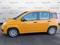Fiat Panda Panda 1.0 FireFly S&S Hybrid Orange - thumbnail 2
