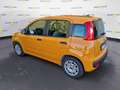 Fiat Panda Panda 1.0 FireFly S&S Hybrid Orange - thumbnail 3