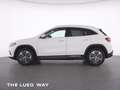 Mercedes-Benz EQA 250 Progressive+MBUX+LED+Totw+RFK+KeyGo+360+ Wit - thumbnail 11