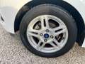 Ford Ka/Ka+ 1200 BENZINA 5 PORTE KM CERTIFICATI 1 PROPRIETARIO Bianco - thumbnail 14