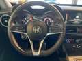 Alfa Romeo Stelvio 2.2 Super Q4 210 Aut. Bleu - thumbnail 24