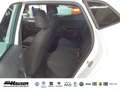 SEAT Ibiza FR 1.0 TSI DSG NAVI KAMERA ACC LED PDC SITZHZG Weiß - thumbnail 7