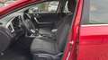 Kia Ceed / cee'd 1.0 T-GDI Drive 100 Rojo - thumbnail 11