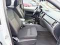 Ford Ranger 2.2 XLT Doppelkabine 4x4 Klima/AHK/EU6 Weiß - thumbnail 24