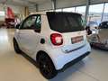 smart forTwo Cabrio Prime Sport Aut. -Top Ausstattung Weiß - thumbnail 8