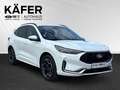 Ford Kuga 2,5 Duratec FHEV ST-Line X Allrad Automatik Weiß - thumbnail 3