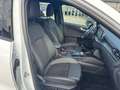 Ford Kuga 2,5 Duratec FHEV ST-Line X Allrad Automatik Weiß - thumbnail 31