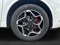Ford Kuga 2,5 Duratec FHEV ST-Line X Allrad Automatik Weiß - thumbnail 4
