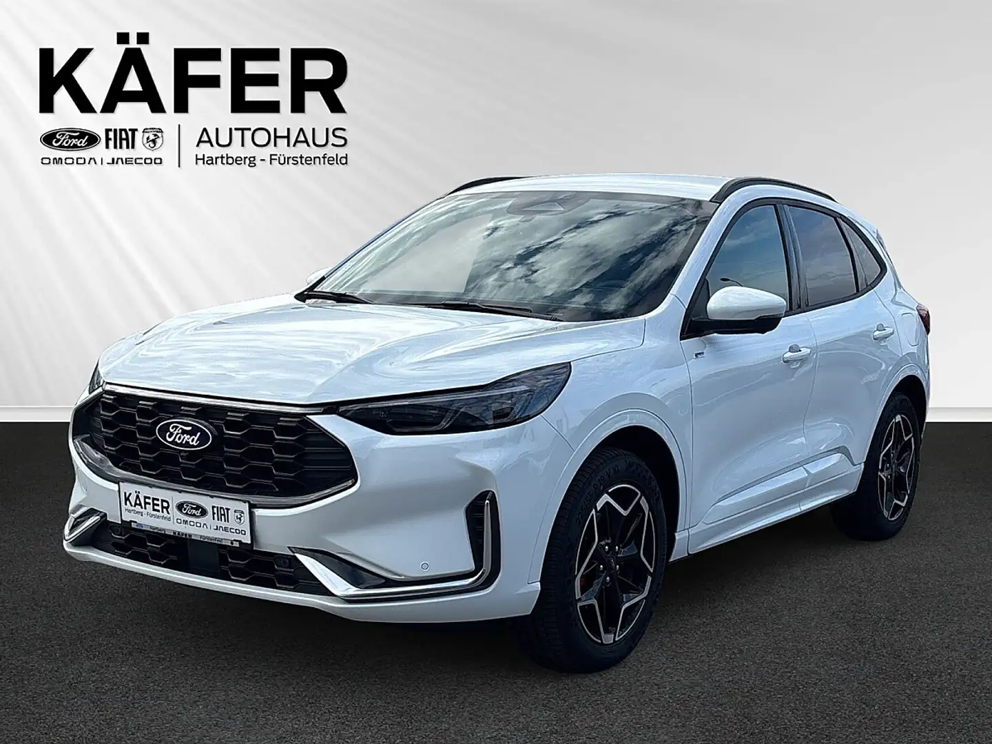 Ford Kuga 2,5 Duratec FHEV ST-Line X Allrad Automatik Weiß - 1