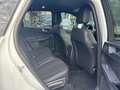 Ford Kuga 2,5 Duratec FHEV ST-Line X Allrad Automatik Weiß - thumbnail 12