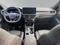 Ford Kuga 2,5 Duratec FHEV ST-Line X Allrad Automatik Weiß - thumbnail 11