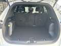 Ford Kuga 2,5 Duratec FHEV ST-Line X Allrad Automatik Weiß - thumbnail 14