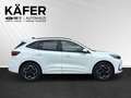 Ford Kuga 2,5 Duratec FHEV ST-Line X Allrad Automatik Weiß - thumbnail 5