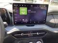 Skoda Kodiaq Selection 2.0 TDI 4x4 DSG Sitzheizung, AHK Negro - thumbnail 13
