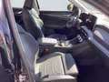 Skoda Kodiaq Selection 2.0 TDI 4x4 DSG Sitzheizung, AHK Negro - thumbnail 10