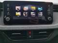 Skoda Kamiq 1.0 TSI DSG Selection Blanc - thumbnail 11