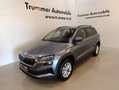 Skoda Karoq Selection TSI Grau - thumbnail 1