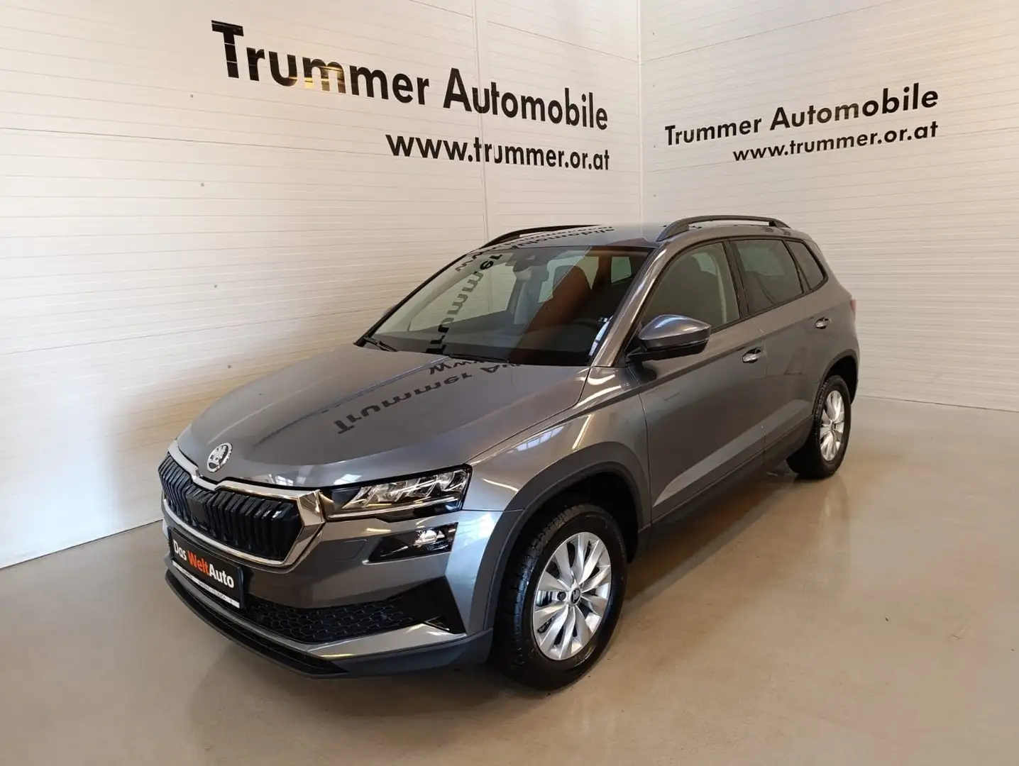 Skoda Karoq Selection TSI Grau - 1