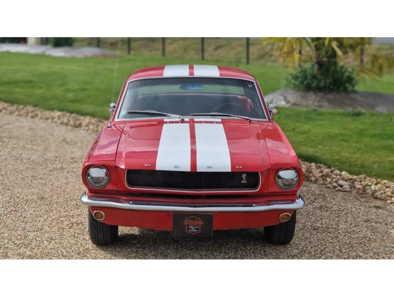 Ford Mustang 289 CI V8, foto 3