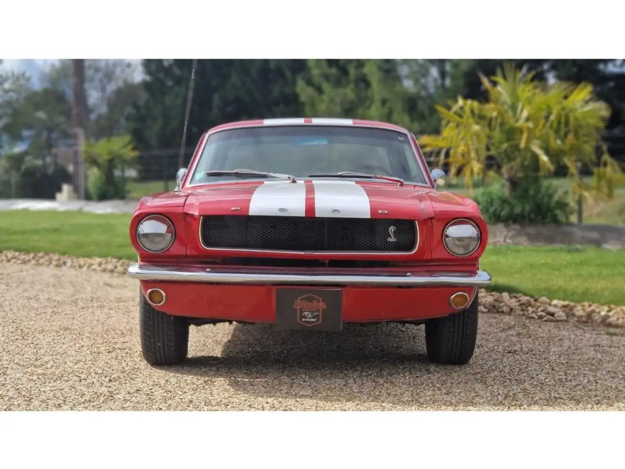 Ford Mustang 289 CI V8, foto 2