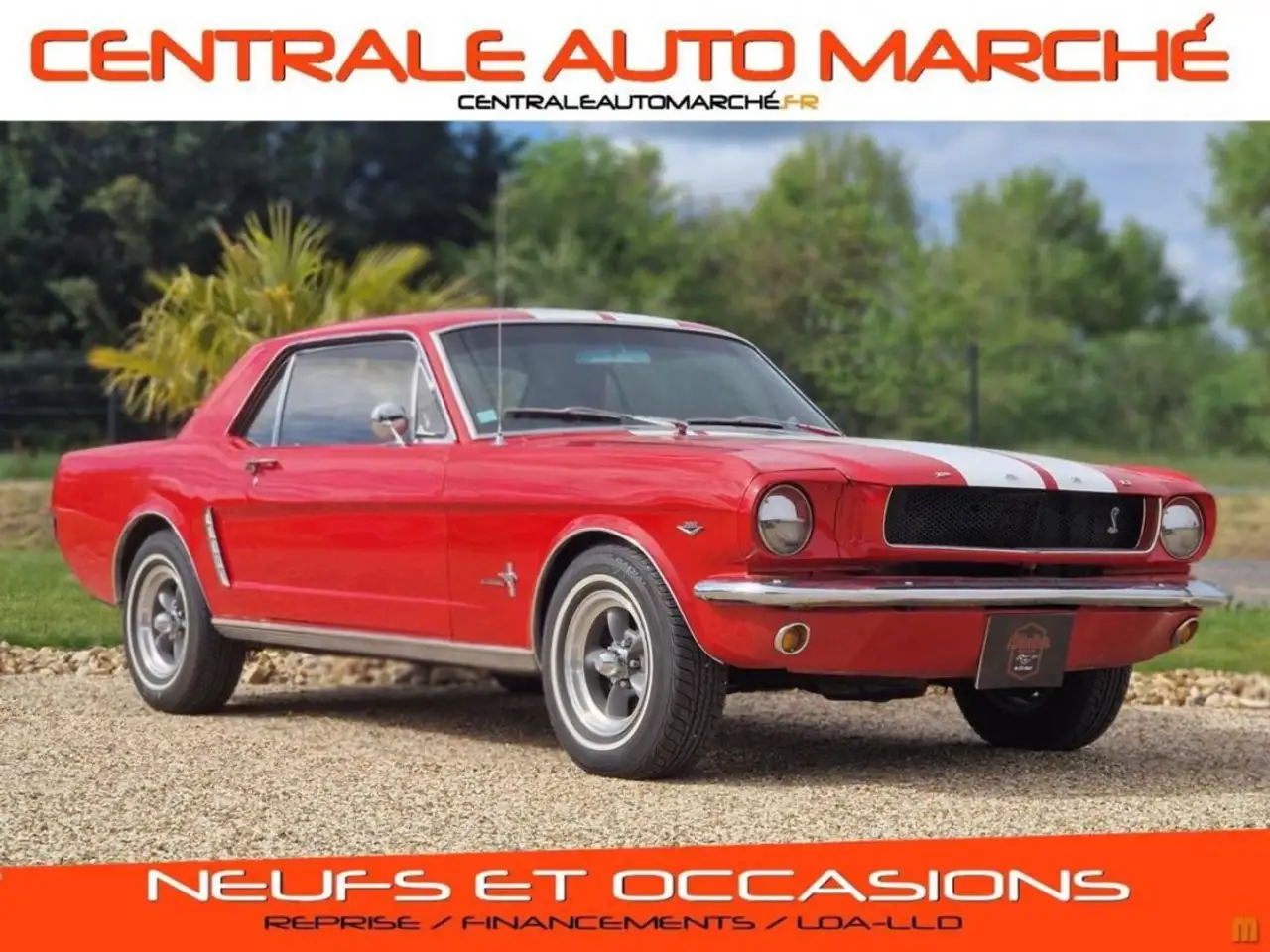 Ford Mustang 289 CI V8, foto 1
