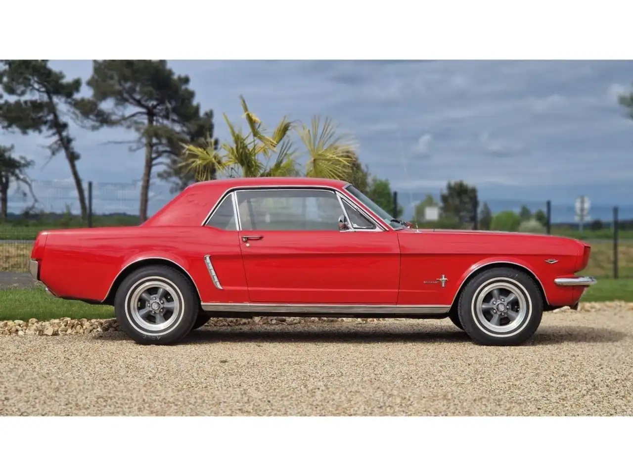 Ford Mustang 289 CI V8, foto 4