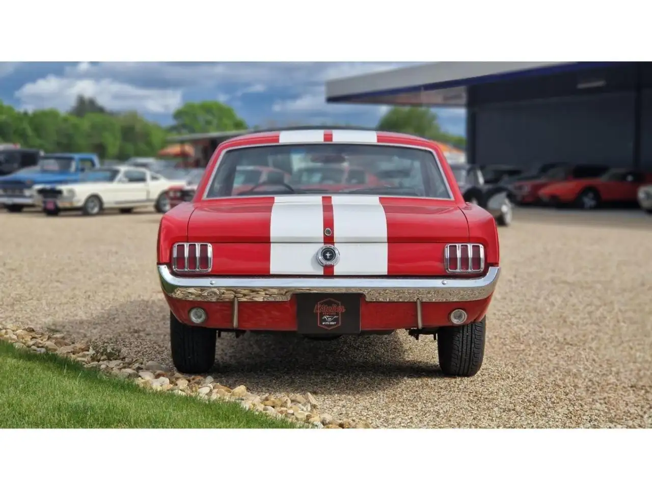 Ford Mustang 289 CI V8, foto 6