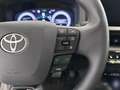 Toyota C-HR 2.0 220 PHEV Advance 2WD Grau - thumbnail 18