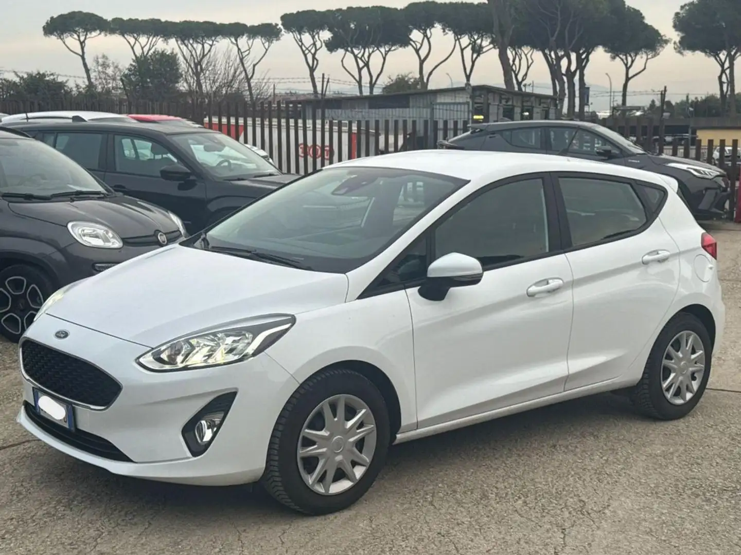 Ford Fiesta 1.5 ecoblue Business 85cv SENS PARK Bianco - 2