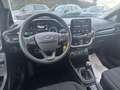 Ford Fiesta 1.5 ecoblue Business 85cv SENS PARK Bianco - thumbnail 6