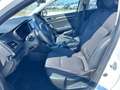 Renault Megane Sporter 1.5 Blue dCi Business Blanc - thumbnail 10