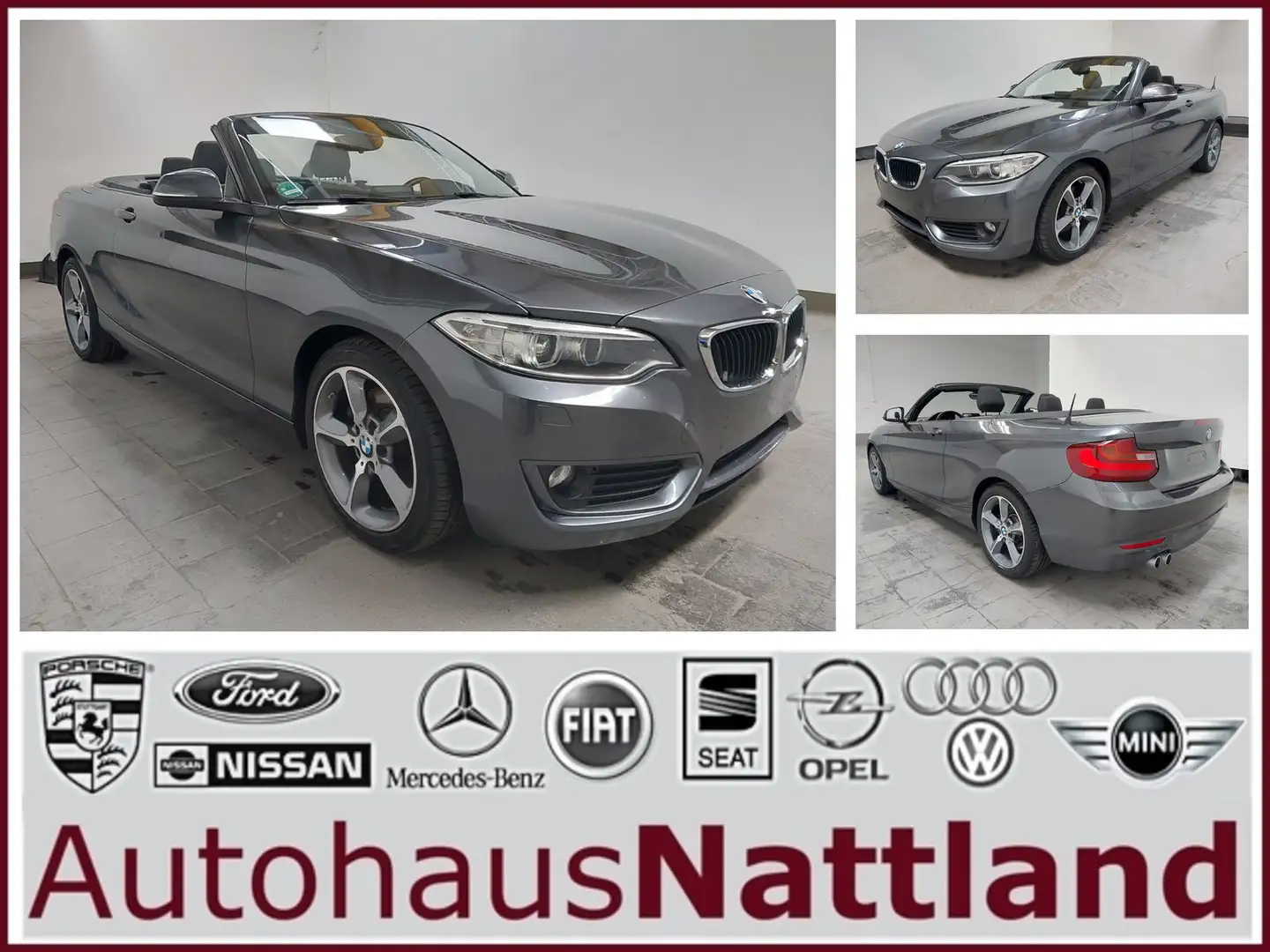 BMW 220 220d Advantage Autom. PDC Navi Xenon Sitzh. Grau - 1