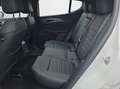 Alfa Romeo Tonale Sprint Paket 1.5 T4 48V MHEV FGT DCT Weiß - thumbnail 23