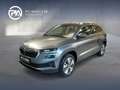 Skoda Karoq Style TDI DSG Grau - thumbnail 1