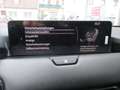 Mazda CX-80 3.3L e-SKYACTIV D AWD Homura Plus Aut. - thumbnail 20