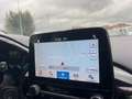 Ford Fiesta 1.5 TDCi 5 porte Titanium - PER NEOPATENTATO - Bianco - thumbnail 7