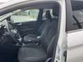 Ford Fiesta 1.5 TDCi 5 porte Titanium - PER NEOPATENTATO - Bianco - thumbnail 5