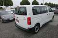 Citroen Jumpy 1.6 Blue-HDI KLIMA 9Sitzer Insp+Zahnr.NEU Weiß - thumbnail 5