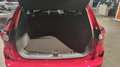 Ford Kuga ST-LINE X 2.5 PHEV 225PS CVT FWD Rood - thumbnail 10