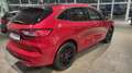 Ford Kuga ST-LINE X 2.5 PHEV 225PS CVT FWD Rood - thumbnail 4