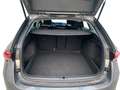 Skoda Octavia Combi Selection 2.0 TDI DSG MATRIX+APP Grau - thumbnail 6