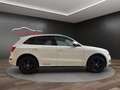 Audi Q5 Q5 2.0 tdi 2 x S-Line Quattro 163cv S-Tronic Weiß - thumbnail 7