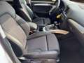 Audi Q5 Q5 2.0 tdi 2 x S-Line Quattro 163cv S-Tronic Weiß - thumbnail 15