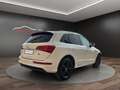 Audi Q5 Q5 2.0 tdi 2 x S-Line Quattro 163cv S-Tronic Weiß - thumbnail 6