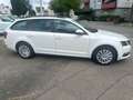 Skoda Octavia Ambition 2.0TDI DSG Navigation Euro6 Weiß - thumbnail 4