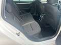 Skoda Octavia Ambition 2.0TDI DSG Navigation Euro6 Weiß - thumbnail 11